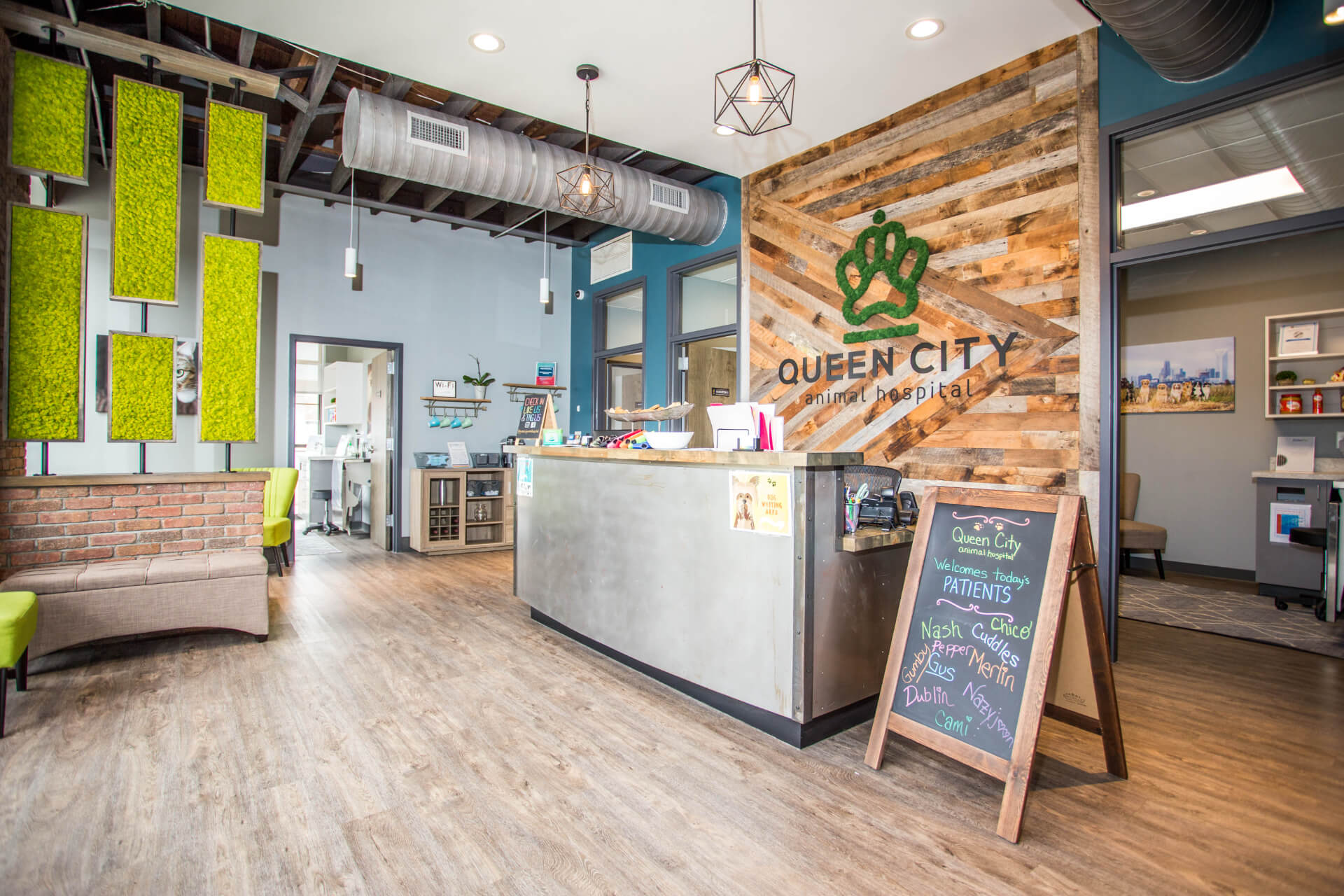 Animal Hospital in Charlotte