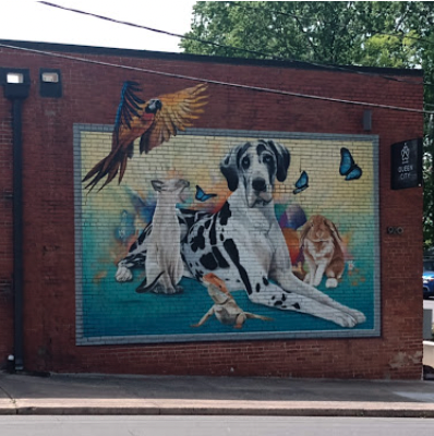 Colorful animal mural on the exterior brick wall of a veterinary clinic featuring a dog, cat, rabbit, parrot and butterflies in Charlotte