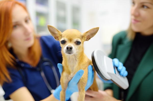 Pet Microchipping