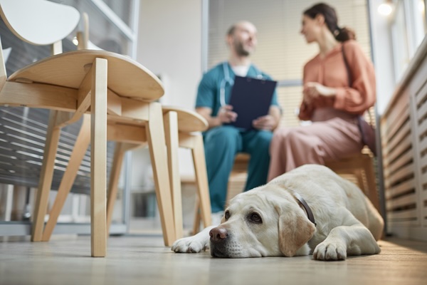 Pet Ownership
