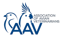 AAV