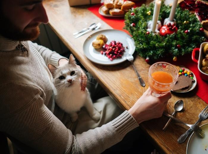 The Festive but Forbidden Pet Snack List
