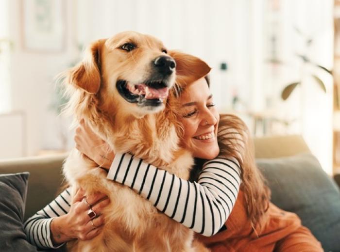 If Westminster Had Classes for Pet Dogs