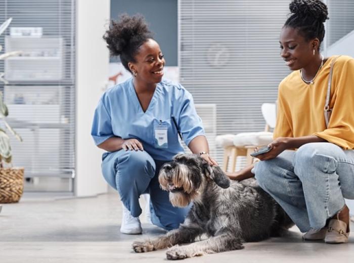 The Gentle Revolution of Veterinary Behavior: Honoring Sophia Yin and Veterinary Behaviorists