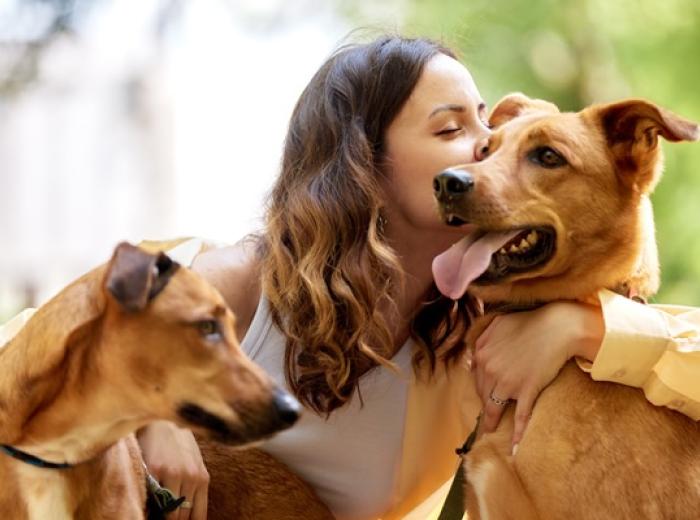 Happy Barkday! Celebrate the Universal Birthday of Shelter Dogs