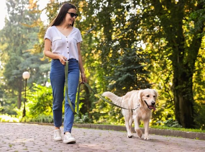 National Walk your Dog (or Cat) Week: Cat versus Dog Perspectives