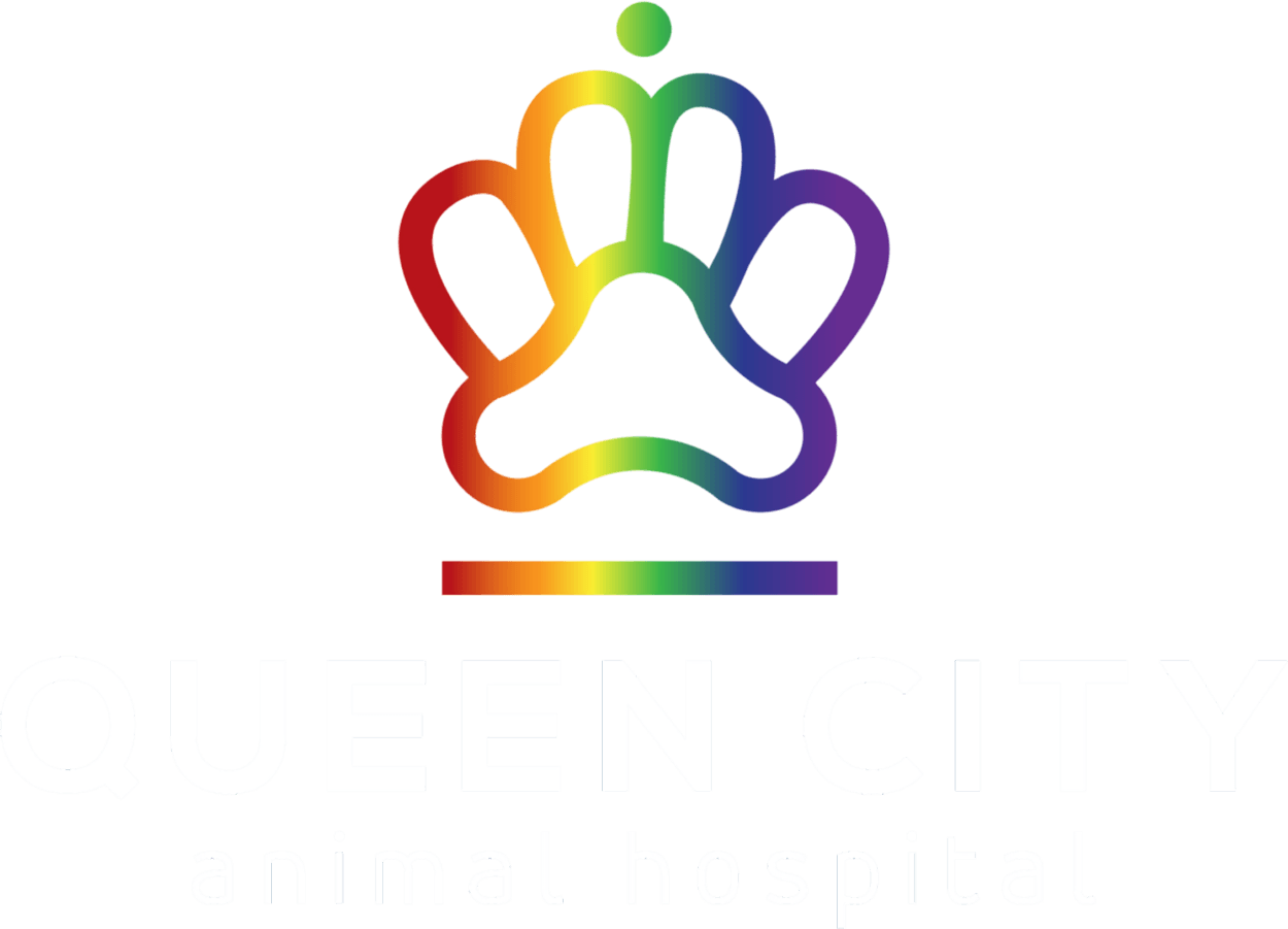 Queen City Animal Hospital